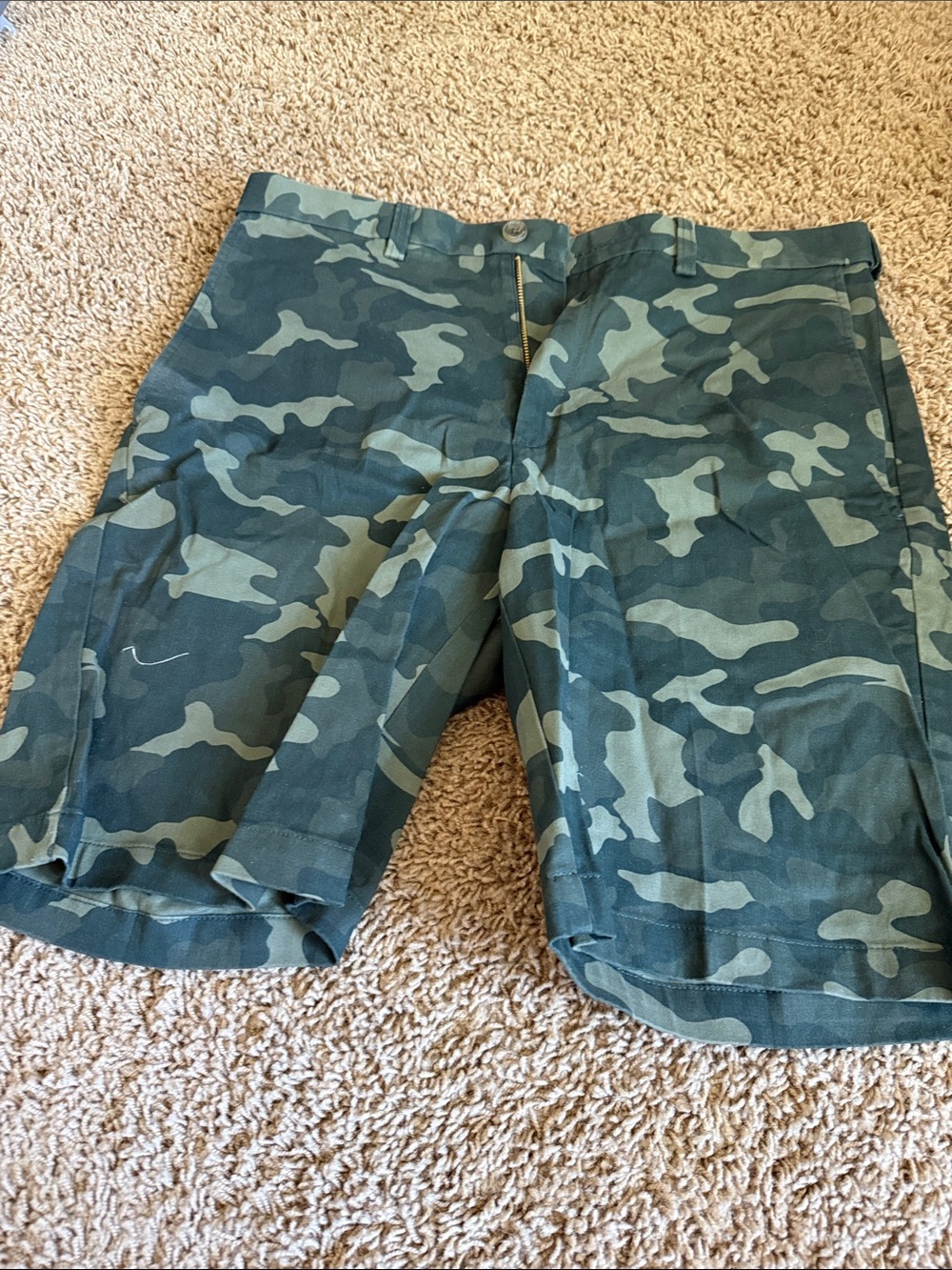 Men’s Flat Front Camo Shorts - Green Camo